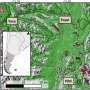 Cercetarea infirma avantajele speciilor de arbori exotici in silvicultura