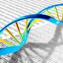 Cercetatorii decodeaza structura tertiara a complexului aptamer DNA ATP