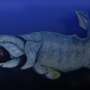 Cresterea nivelurilor de oxigen in oceanul profund a deschis habitate marine noi si a stimulat specierea
