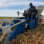 Expertul impartaseste conceptul de agricultura cu carbon pozitiv