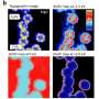 Spini cuantici izolati robusti stabiliti pe un substrat magnetic