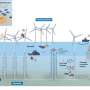 Apel pentru o monitorizare si o atenuare mai buna a turbinaselor eoliene offshore