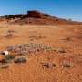 Array ul Murchison Widefield s a dublat ca marime ce ar putea descoperi acum