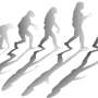 Cultura depaseste genetica in evolutia umana spun cercetatorii