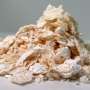 E coli ingineriat produce plastic biodegradabil superior PET ului utilizat pe scara larga