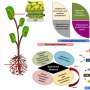 Gestionarea necorespunzatoare a particulelor de plastic factor cheie in contaminarea mediului