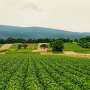 Inegalitatea in lanturile agro alimentare Sudul Global produce hrana dar Nordul Global pastreaza bogatilia