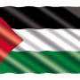 Intrebari si Raspunsuri Ce inseamna recunoasterea Palestinei
