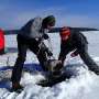 Lacurile nordice ar putea suferi schimbari ecologice majore