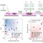 Metoda in doua etape permite cresterea controlabila a epitaxiei WS2