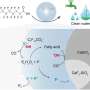 Microdroplet incarcate permit mineralizarea poluanilor PFAS persistenti