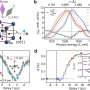 Modelarea electronicelor viitoare cu lumina Experimentul demonstreaza controlul ultrarapid al proprietatilor feroelectrice