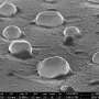 Nanocatalizatori metalici Ce se intampla in timpul catalizei