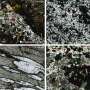 Rocile antice dezvaluie forte ce frang continente si origini minerale critice
