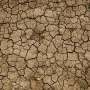 Schimbarile climatice periculoase ameninta visele de bowl alimentar din nordul Australiei