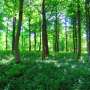 Stocarea sigura a carbonului sub pamant ar reduce inalzirea cu 07C arata analiza