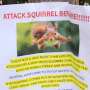 Vantura de veverita agresiva trimite persoane la spital