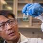 microscopia electronica dezvaluie o noua metoda pentru a produce aliaje metalice