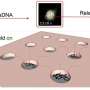 Fizicienii manevreaza moleculele de ADN folosind campuri electrice