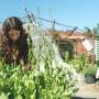 Noua strategie de securitate alimentara a Australiei Ce este pe masa si ce lipseaste