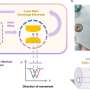 Pompa electrohidrodinamica si invaterea automata permit laser excimer portabil de inalta performanta