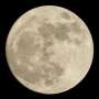 SUA solicita oferte noi pentru misiunea lunara seful NASA