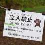 Aproape in fiecare zi Japonia se lupta cu o crestere a atacurilor de ursi