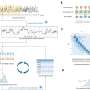 Cercetatorii introduc un nou instrument pentru detectarea mai precisa a modificarilor ARN din semnalele nanopore