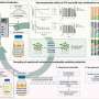 Cercetatorii transforma deseurile de fermentatie in dezinfectant vegetal