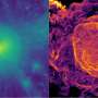 Clusterele galactice socate Descifrand misterele relicvelor radio