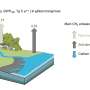 Compensarea beneficiilor carbonului albastru Tulpinile copacilor de mangrove identificate ca sursa subestimata de metan