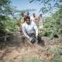 Copacul invaziv prosopis din Etiopia sufoca vietile si terenoarele
