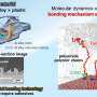 Cum se fixeaza plasticele de metale la scara atomica Perspectivele moleculare deschid calea pentru materiale de transport mai bune