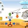 Ecosistemele de desert apar ca frontiere pentru sechestrarea carbonului si actiunea climatica