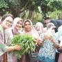 Imputernicirea vanzatorilor stradali din Indonezia printr un program de educatie financiara integrat in sustenabilitate