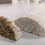 Inelii arborilor marii Cum conditiile de mediu influenteaza microalgele si comunitatile de corali