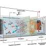 Sistem autonom produce ingredient plastic esential folosind H2O2 generat intern