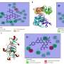 nanoparticule de oxid de zinc sintetizate verde din plante de desert arata activitate antimicrobiana larga
