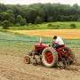 practicile agricole ecologice pot fi mai simple decat cred fermierii