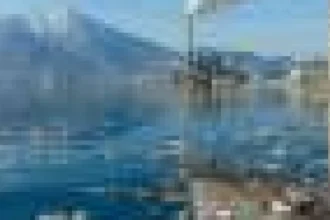 Acidificarea oceanelor poate afecta captarea carbonului de diatomee