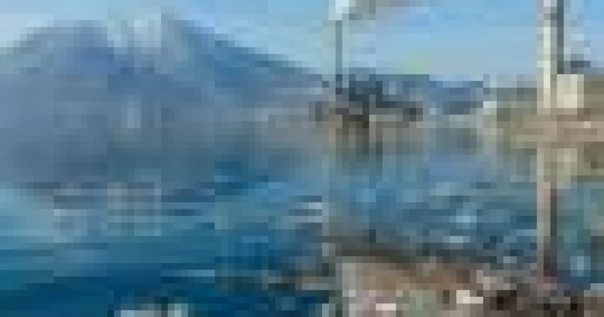 Acidificarea oceanelor poate afecta captarea carbonului de diatomee