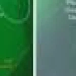 AI dezvăluie comportamente nocturne de hrănire necunoscute la balenele drepte