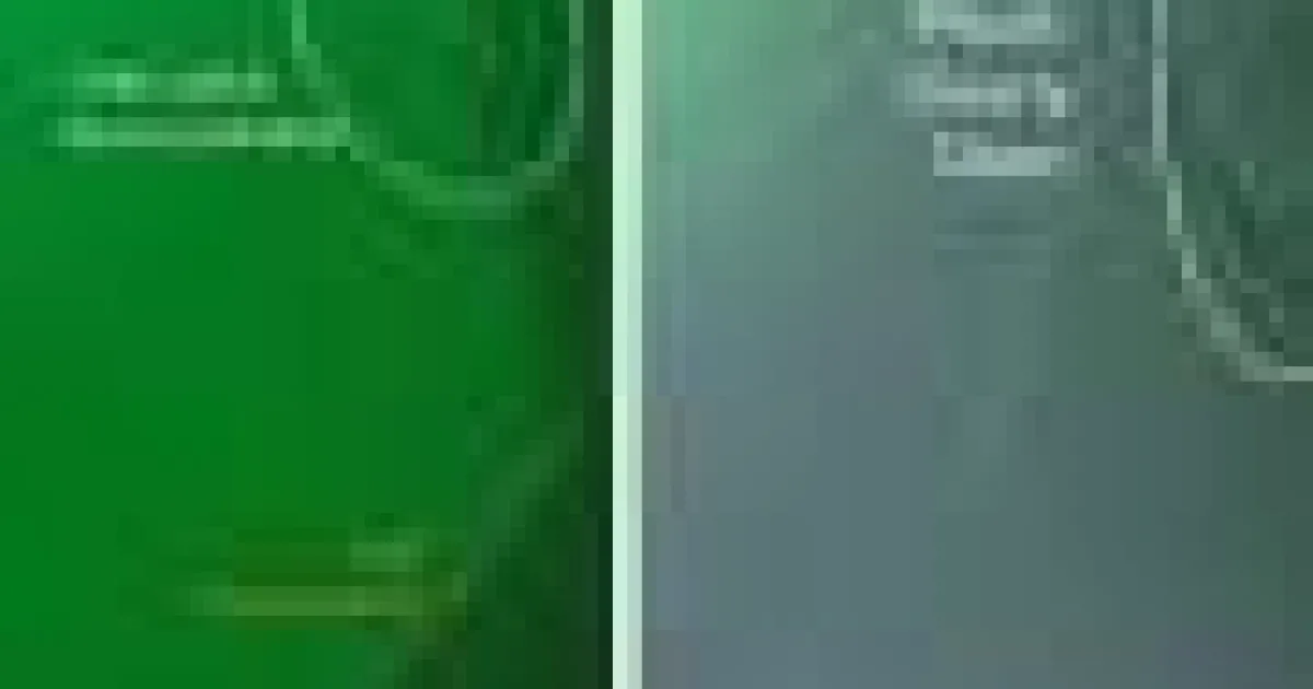 AI dezvăluie comportamente nocturne de hrănire necunoscute la balenele drepte