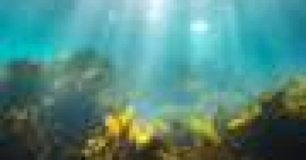 Bacteriile marine descompun împreună moleculele oceanice de carbon