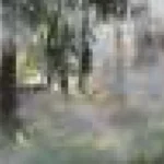 Când dezastrul trece granițele, Indonezia e pusă sub lupă de două ori