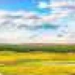 Cea mai artificială zonă din Marea Britanie ar putea dispărea din cauza climei