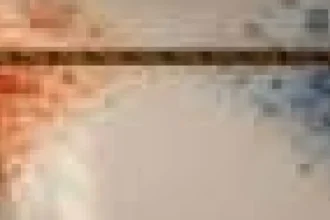 Chiar dacă nu vorbești despre politică la muncă, ea vine cu tine la birou