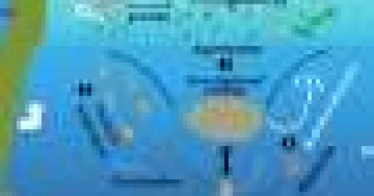 Cianobacteriile minuscule ar putea fi eroii secreți ai stocării carbonului oceanic