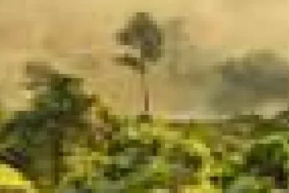 Costurile locale ale teledetecției: analiza eticii scanării laser în pădurile tropicale