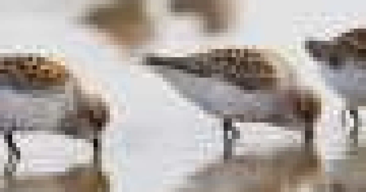 Creșterea nivelului mării poate alunga păsările de țărm din habitatele costiere
